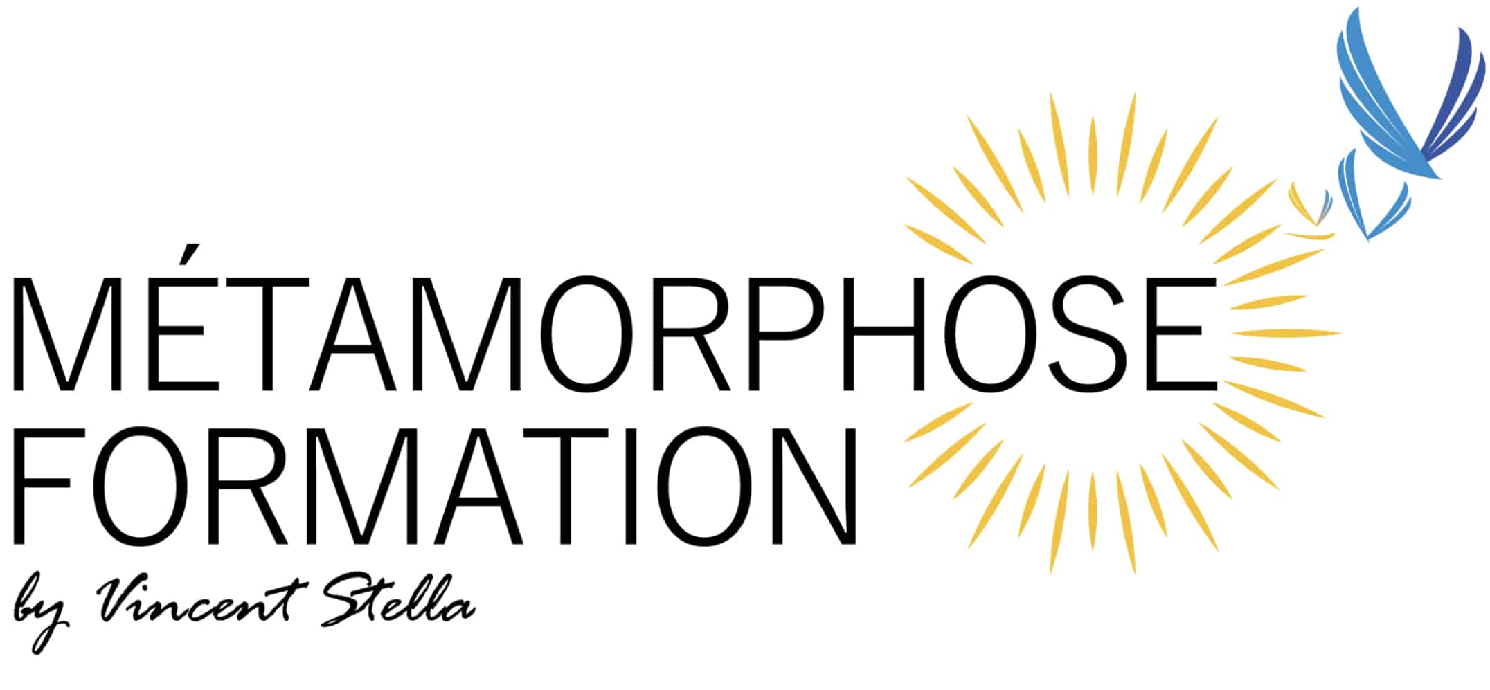 Métamorphose Formation