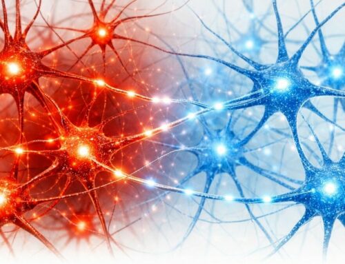 Douleur et idées reçues : pourquoi votre cerveau n’est pas fait pour souffrir en silence