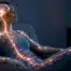 Représentation du système nerveux central et de l'hypersensibilité à la douleur, sensibilisation centrale et hypnose