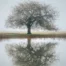 Image d'illustration sur le brouillard mental - article brainfog et hypnose